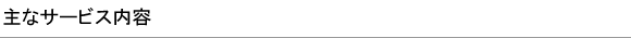 主なサービス内容